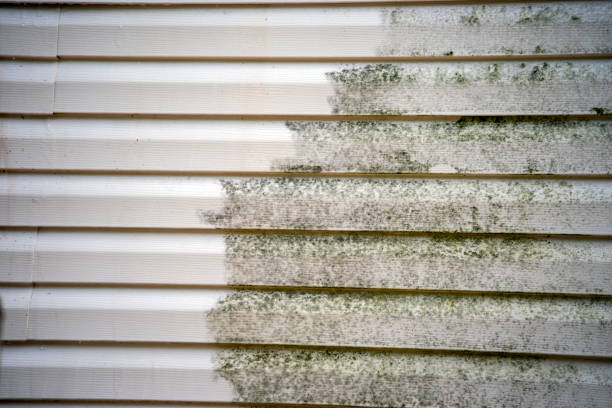 Affordable siding repair and maintenance services in Derby, CT